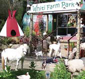 Whiti Farm Park and Tipi Accom