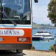 Auckland to Coromandel Ferry