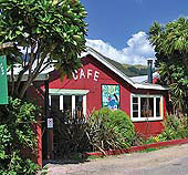 Green Snapper Cafe