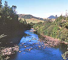 Coromandel hills and valleys