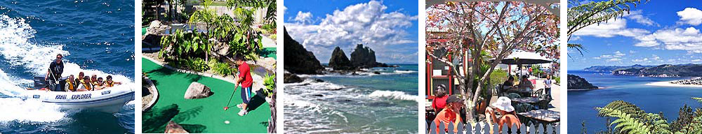 Coromandel Fun